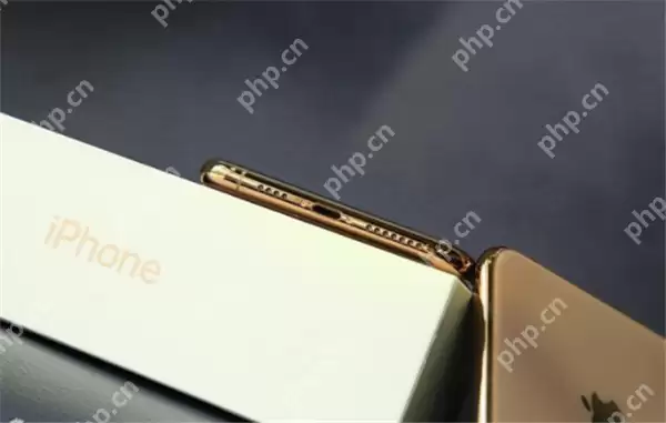 手机iPhonexs中没声音怎么处理？解决方法机iPhonexs中没声音的处理方法说明