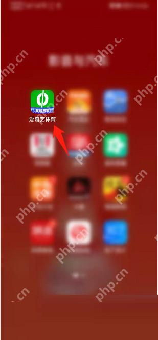 爱奇艺体育个性化推荐如何开启
