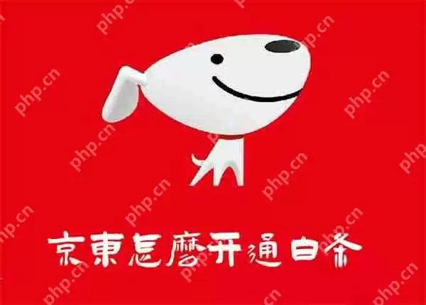 京东怎么开通白条