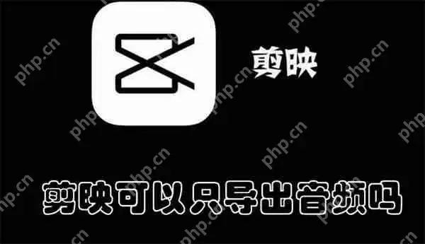 剪映可以只导出音频吗