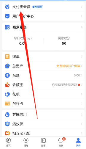 支付宝限定节气皮肤怎么获得