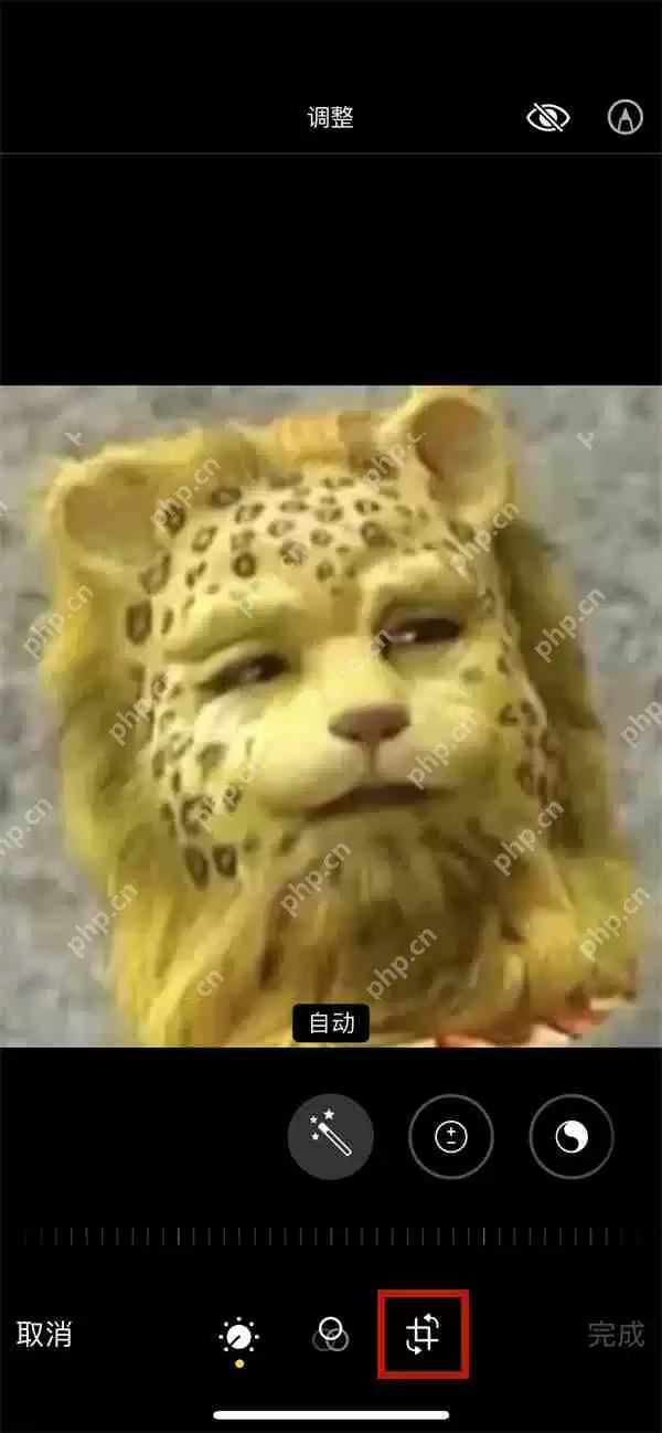 苹果手机相片自动旋转怎么调