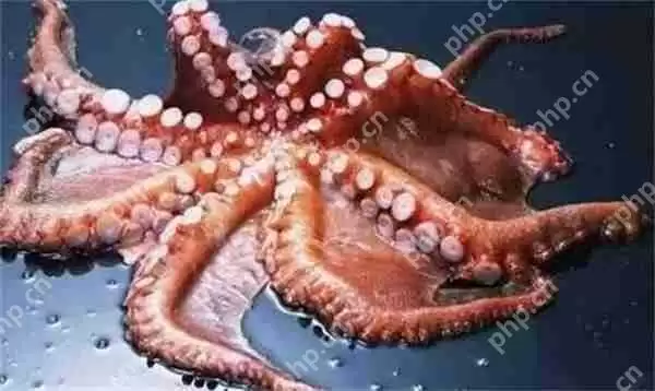 支付宝哪种海洋动物的血液不是红色的