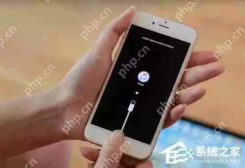 苹果iPhone手机忘记密码怎么办？忘记密码解决方法详解