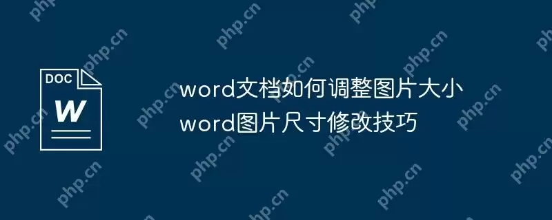 word文档如何调整图片大小 word图片尺寸修改技巧