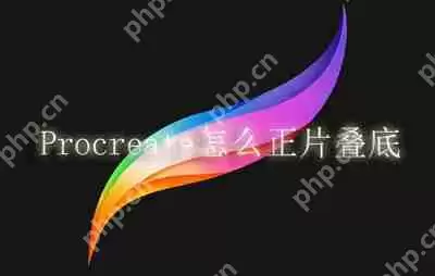 Procreate怎么正片叠底
