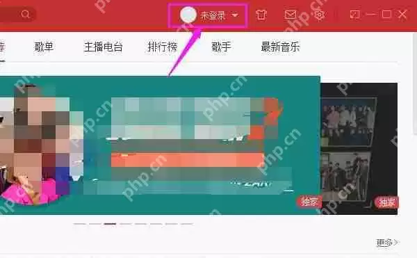 网易云音乐http代理怎么替换为IE代理？替换为IE代详细步骤解析
