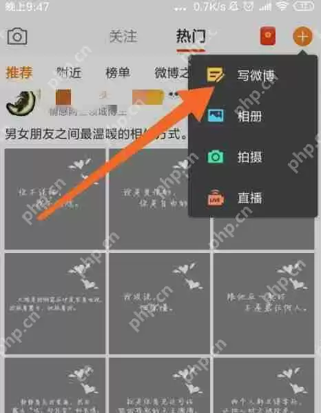 新浪微博动态怎么发布？动态发布流程图文解析