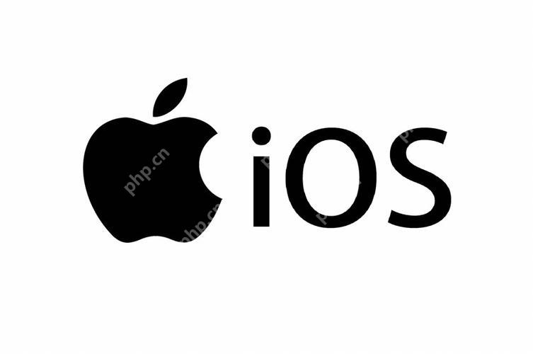 照片同步问题：iCloud图库与本地存储的选择