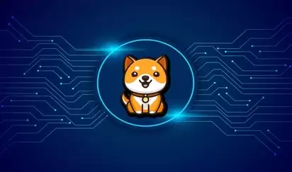 BabyDoge币的未来发展趋势如何？