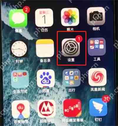 在iphonexr中怎么打开半屏功能？开半屏功能的方法说明