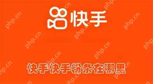 快手粉条在哪里