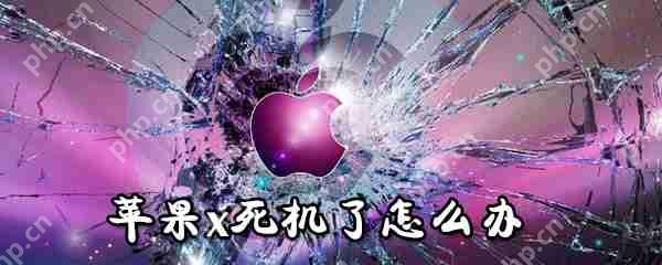 苹果x死机了怎么办_苹果x死机解决方法大全