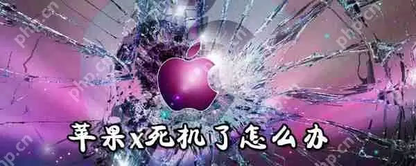 苹果x死机了怎么办_苹果x死机解决方法大全
