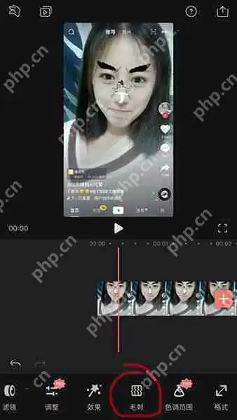 抖音如何给脸添加马赛克？抖音给脸添加马赛克方法介绍