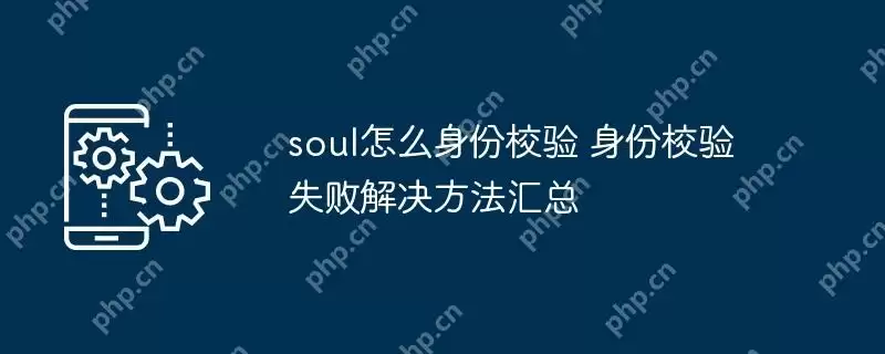 soul怎么身份校验 身份校验失败解决方法汇总