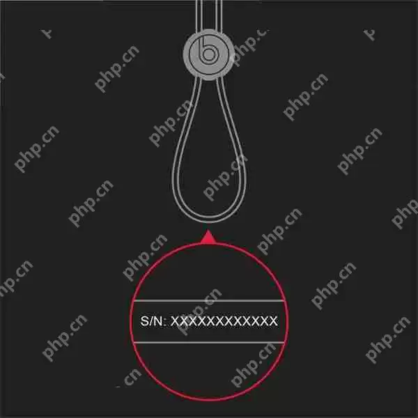 beats耳机序列号在哪里查