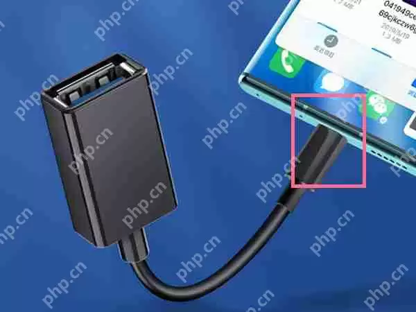 鸿蒙系统otG模式怎么打开