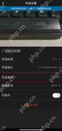 汤圆创作怎么设置仅自己可见 汤圆创作设置作品仅自己可见方法