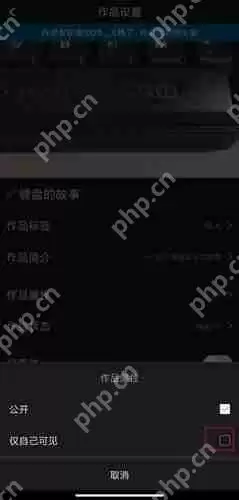 汤圆创作怎么设置仅自己可见 汤圆创作设置作品仅自己可见方法