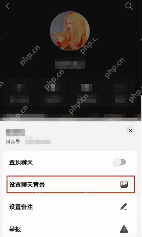 抖音怎么设置共同聊天背景 抖音共同聊天背景设置教程分享