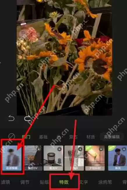 醒图模糊功能在哪里
