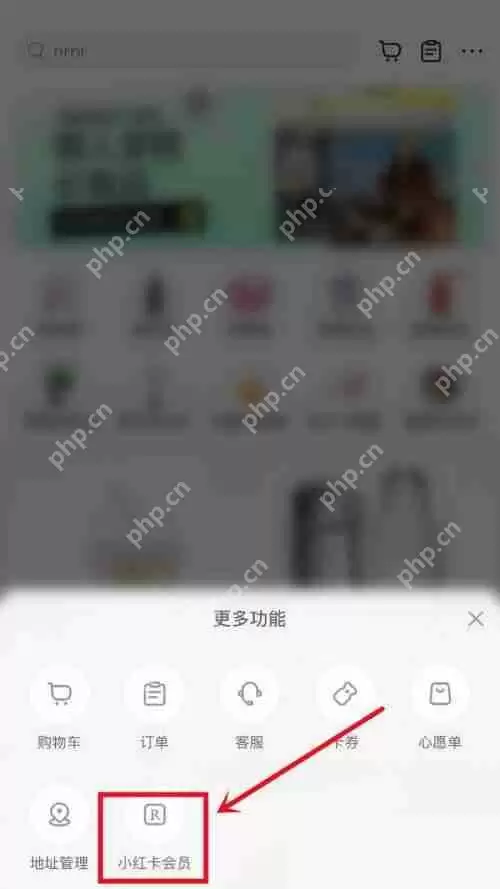 小红书怎么开通会员?小红书开通会员方法