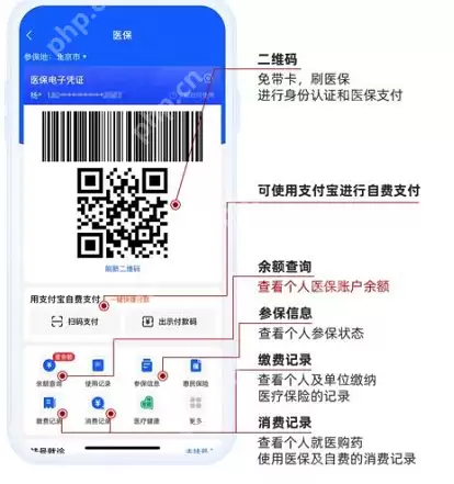 支付宝医保个人账户余额怎么查询
