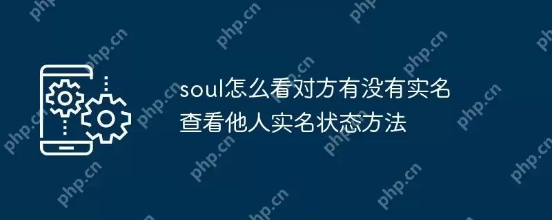 soul怎么看对方有没有实名 查看他人实名状态方法