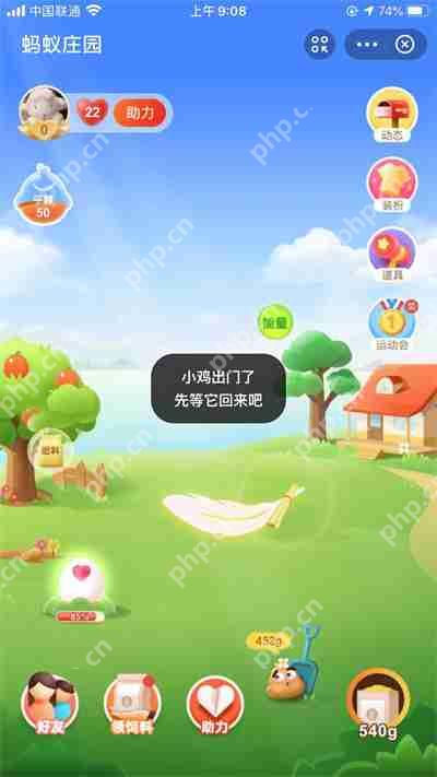 蚂蚁庄园小鸡去哪了