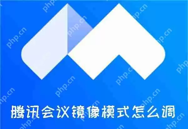 腾讯会议镜像模式怎么调