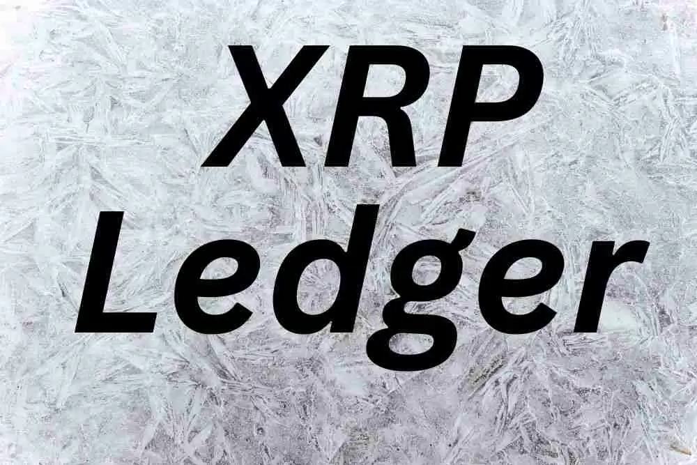 XRP分类帐（XRPL）上的验证器，被称为VET，最近分享了积极参与XRPL生态系统的必要性的见解，以鼓励RLUSD的扩展