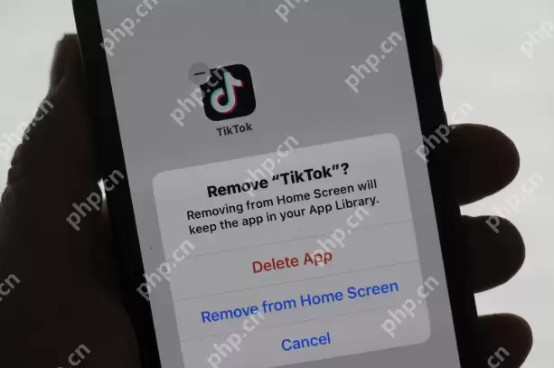 tiktok短视频网站 免费看欧美大片tiktok网站入口 - 游乐网