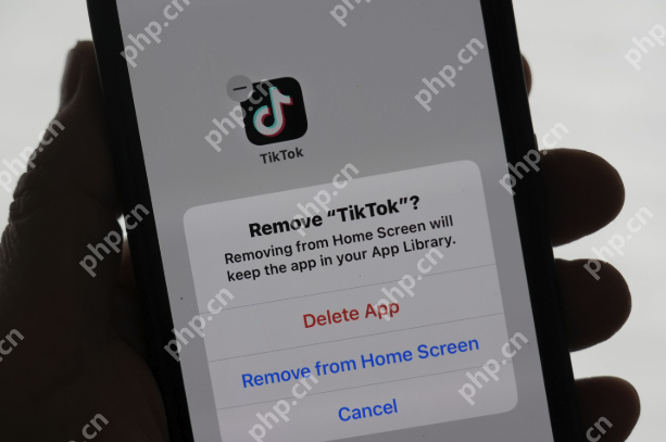 TikTok无限制破解在线观看 tiktok无限观看永久破解入口 - 游乐网