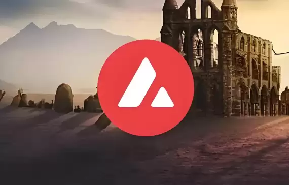 META币生态系统图示