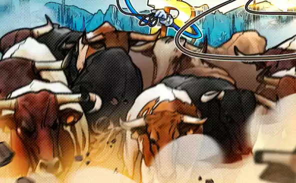 比特币牛市可能延续至2025年3月之后