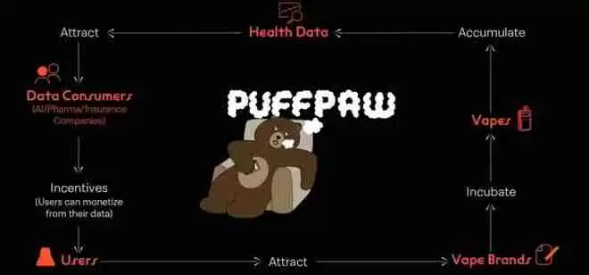 PuffPaw是什么?代币经济学如何运作?未来前景如何?