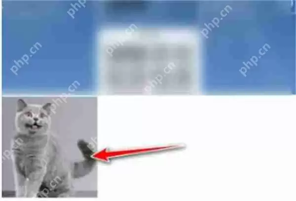 ios16怎么抠图分享给微信朋友