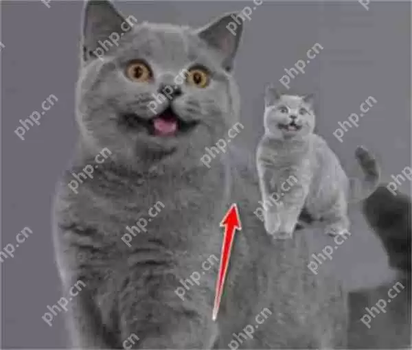 ios16怎么抠图分享给微信朋友