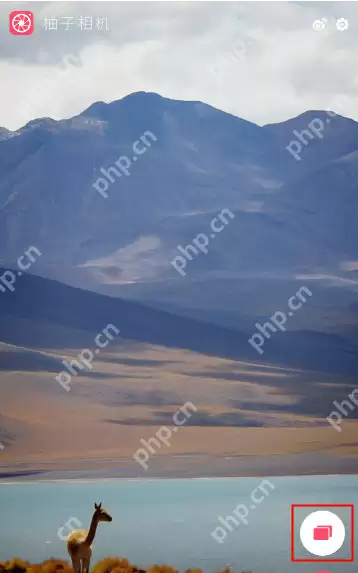 柚子相机APP如何添加特效？添加特效的方法介绍