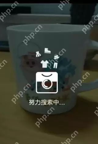 如何使用淘宝拍照买东西？使用淘宝拍照买东西的方法讲解