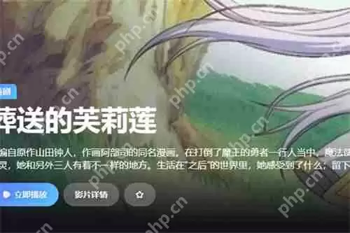 nyafun动漫官网入口是什么 nyafun动漫官网入口网页版