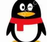 如何自制QQ动态头像？自制QQ动态头像的流程一览