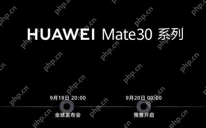华为Mate30Pro什么时候上市？华为Mate30Pro上市介绍
