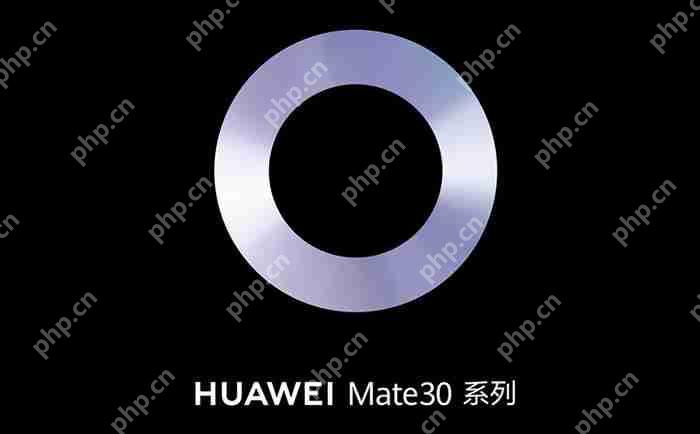 华为Mate30Pro什么时候上市？华为Mate30Pro上市介绍