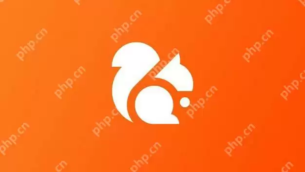 uc浏览器极速版怎么缓存视频 极速版缓存视频步骤教学