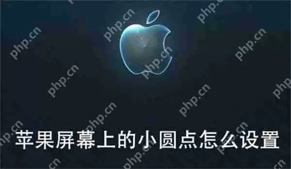 苹果屏幕上的小圆点怎么设置