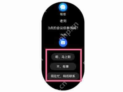 华为gt3pro短信怎么回复