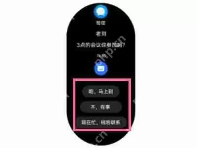 华为gt3pro短信怎么回复