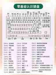电脑键盘功能基本知识有哪些